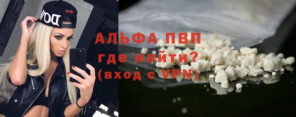 ГАЛЛЮЦИНОГЕННЫЕ ГРИБЫ Белокуриха