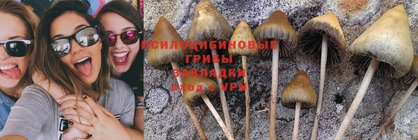 ГАЛЛЮЦИНОГЕННЫЕ ГРИБЫ Белокуриха