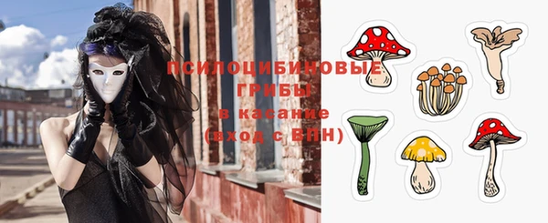 гашик Балахна